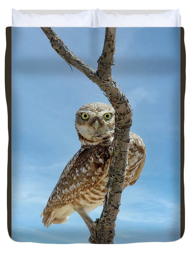 Peeking Owl Duvet Cover featuring the photograph Peeking Owl by Wes and Dotty Weber