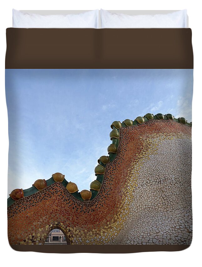 Richard Reeve Duvet Cover featuring the photograph Peeking Under the Dragon Tail by Richard Reeve