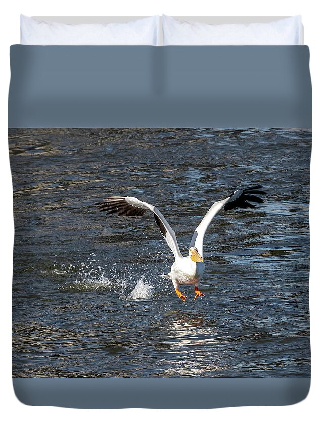 Birds Duvet Cover featuring the photograph Pelican liftoff by Harold Rau