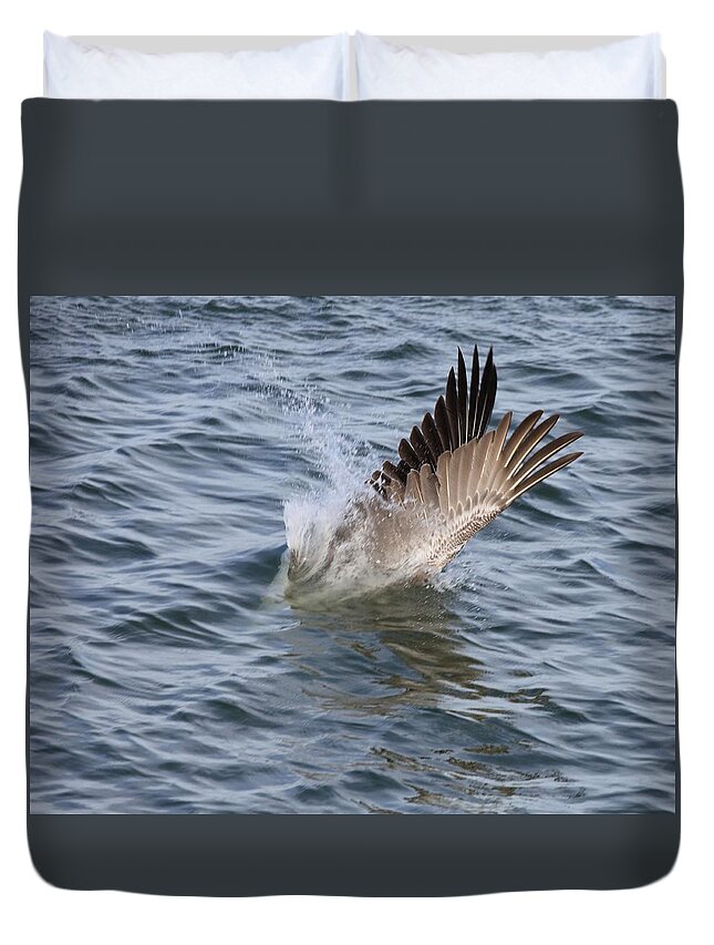 Pelicans Duvet Cover featuring the photograph Pelican Plunged into the Water by Mingming Jiang