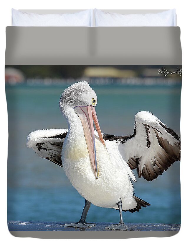Pelicans Duvet Cover featuring the digital art Pelican Tuncurry 590. by Kevin Chippindall
