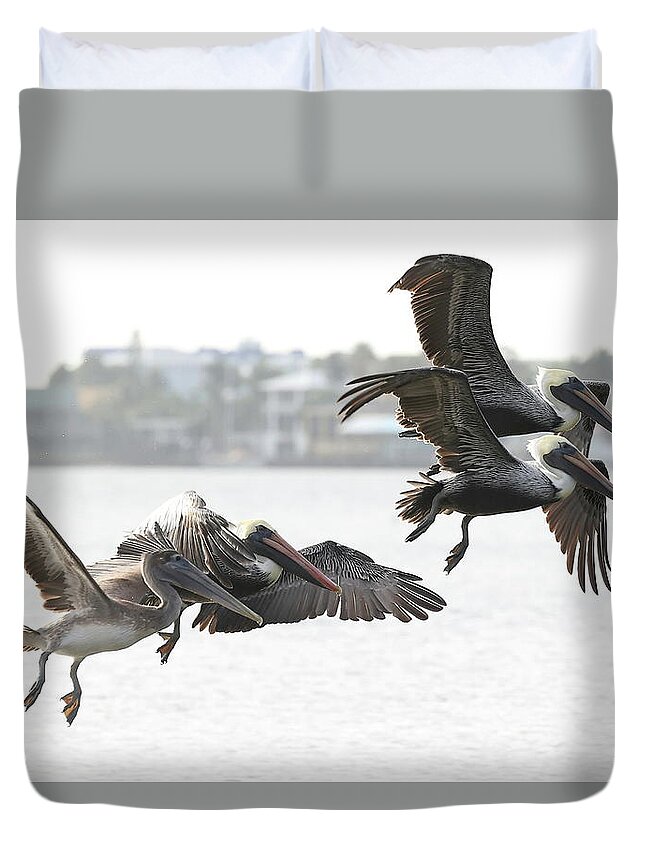 Pelicans Duvet Cover featuring the photograph Pelicans Fly in Pairs by Mingming Jiang