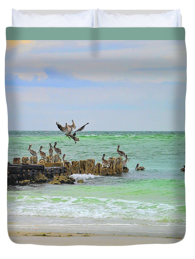 Pelicans Duvet Cover featuring the photograph Pelicans in Florida by Alison Belsan Horton