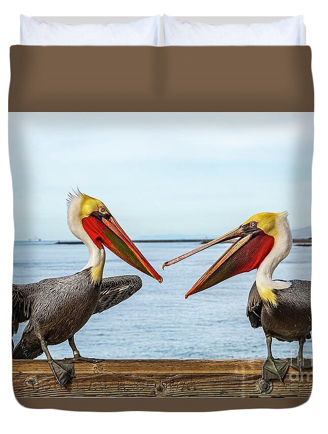 Pelicans Duvet Cover featuring the photograph Pelicans on the Oceanside Pier by Rich Cruse