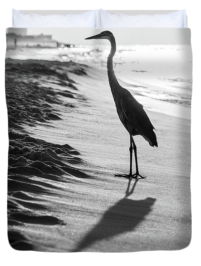 2018 Duvet Cover featuring the photograph Pensacola Beach Florida Heron Black and White Photo by Paul Velgos