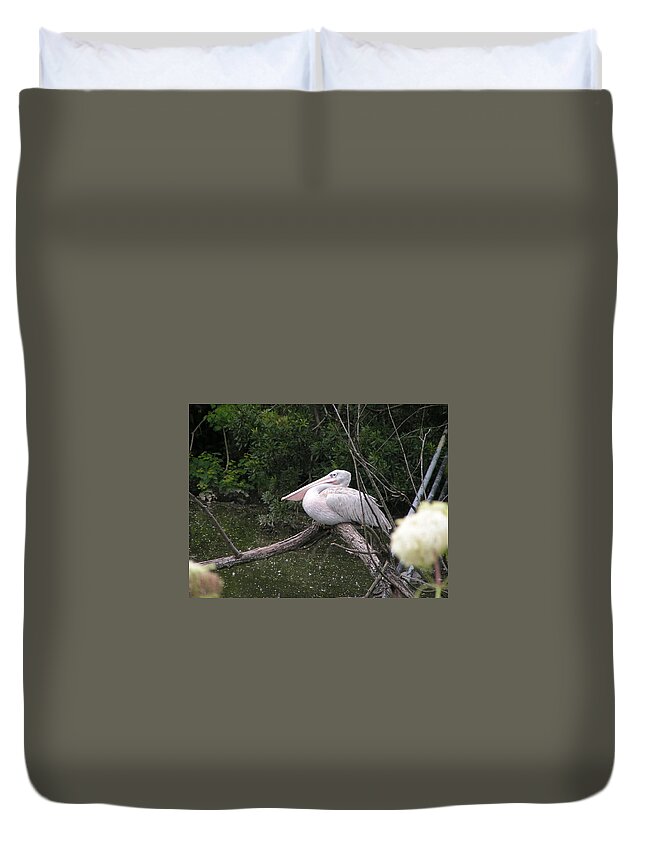 Pelican Duvet Cover featuring the photograph Perched by Heather E Harman