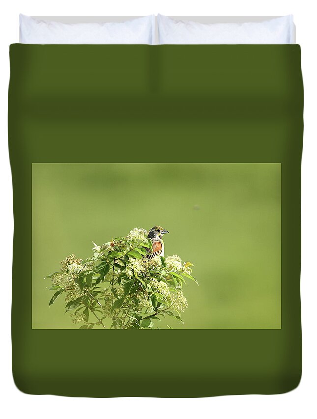 Bird Duvet Cover featuring the photograph Perched by Lens Art Photography By Larry Trager