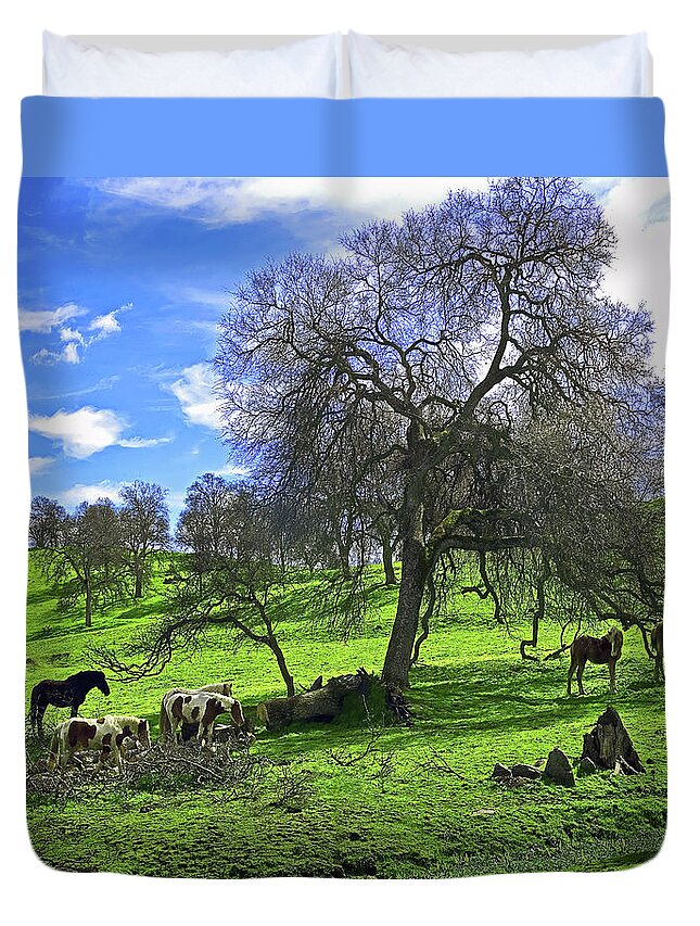 Horse Duvet Cover featuring the photograph Perfect Afternoon by Don Schimmel