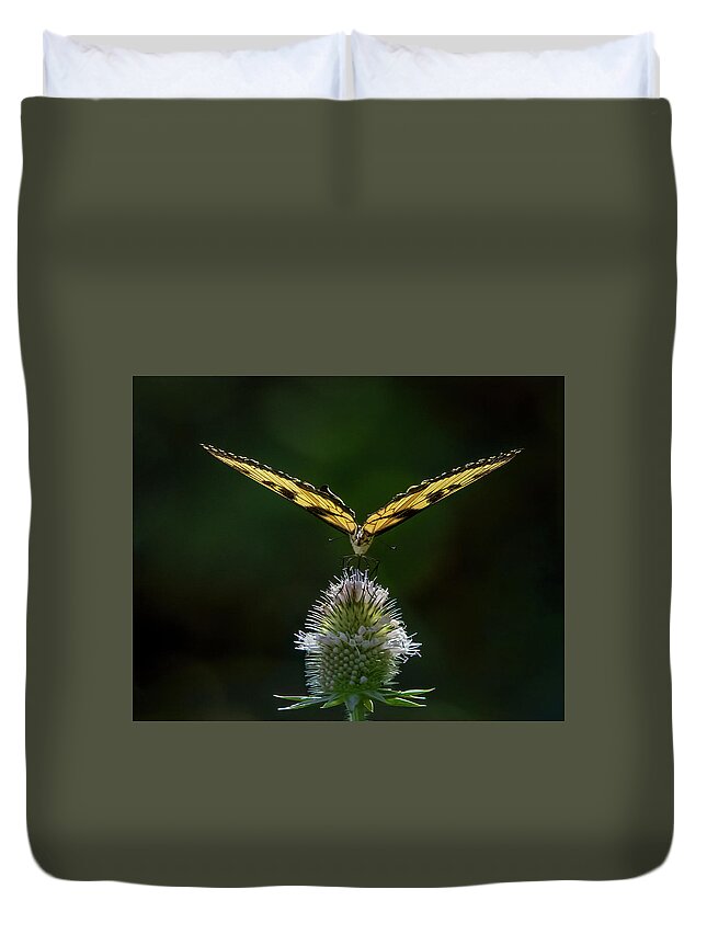 Butterfly Duvet Cover featuring the photograph Perfect Landing by Ray Silva