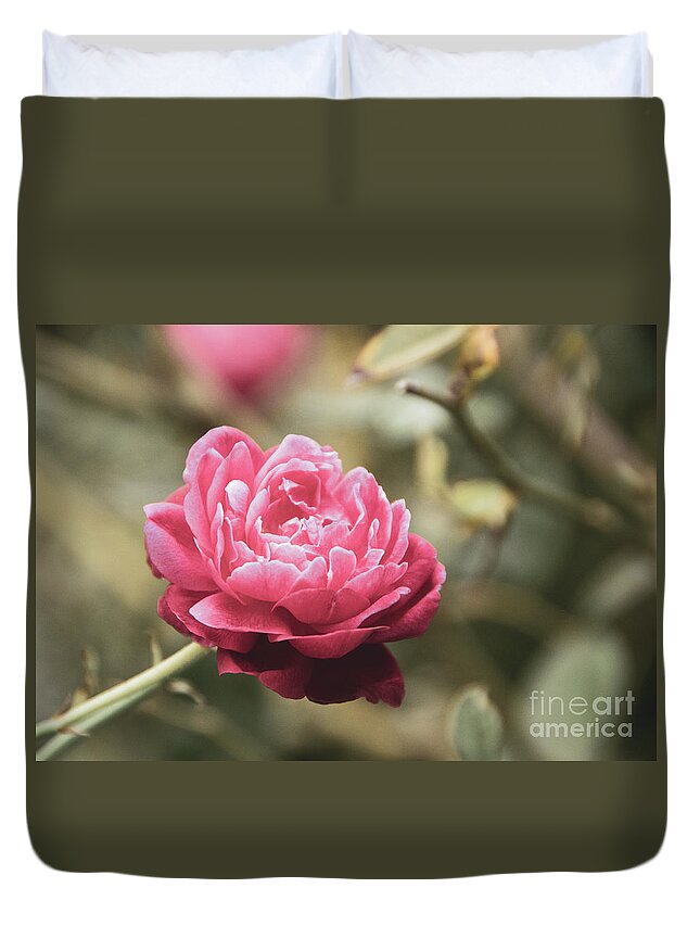 Rose Duvet Cover featuring the photograph Perfect Petals Colorized Botanical / Nature / Floral Photograph by PIPA Fine Art - Simply Solid
