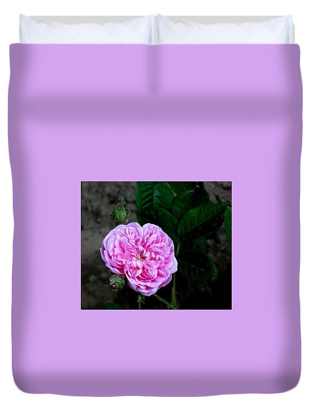 Rose Duvet Cover featuring the photograph Petite Lisette by Katie Keenan
