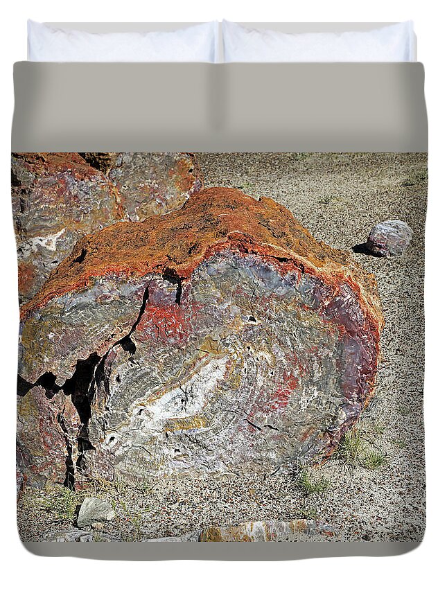 Petrified Forest National Park Duvet Cover featuring the photograph Petrified Logs - Petrified Forest National Park by Richard Krebs