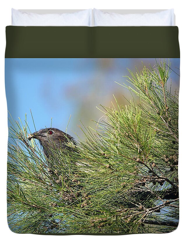 Animals Duvet Cover featuring the photograph Pheasant Coucal by Maryse Jansen