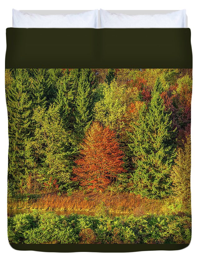 Autumn Duvet Cover featuring the photograph Philip's Autumn Trees by Don Nieman