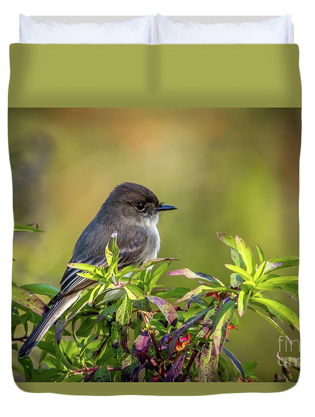 Phoebe Duvet Cover featuring the photograph Phoebe and Croton by Tom Claud