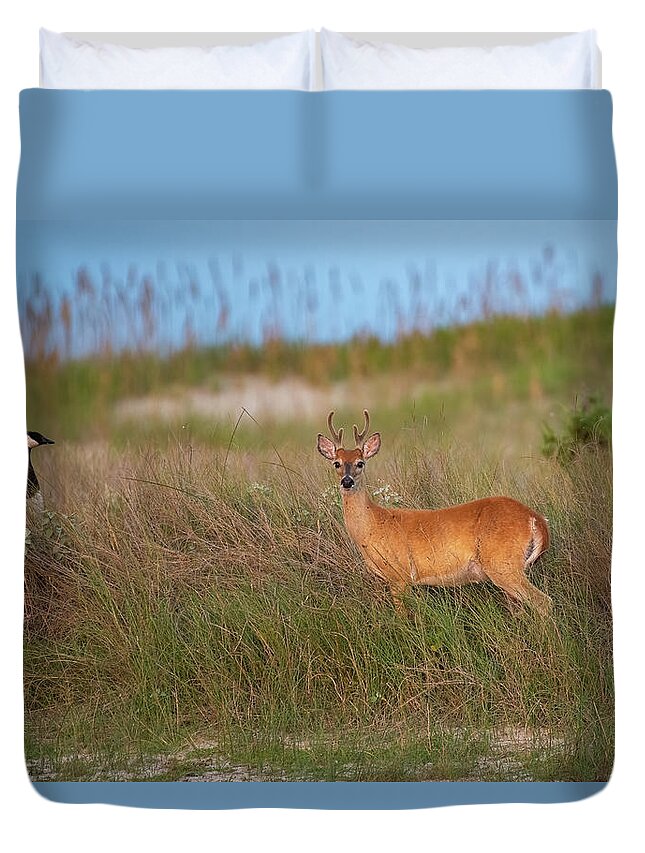 Deer Duvet Cover featuring the photograph Photobombed Buck by Fon Denton