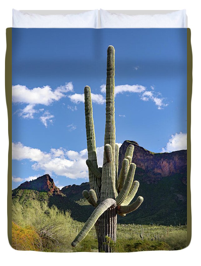 Picacho Peak State Park Duvet Cover featuring the photograph Picacho Peak Cactus by David T Wilkinson