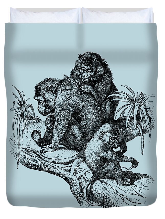 Monkey Duvet Cover featuring the digital art Picking Fleas by Madame Memento
