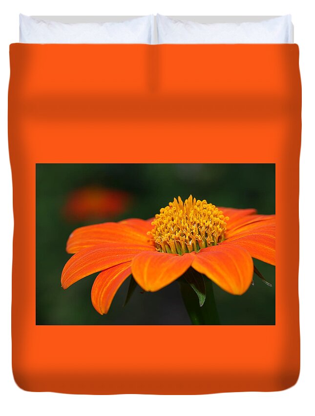 Mexican Sunflower Duvet Cover featuring the photograph Pie of Nectar by Mingming Jiang