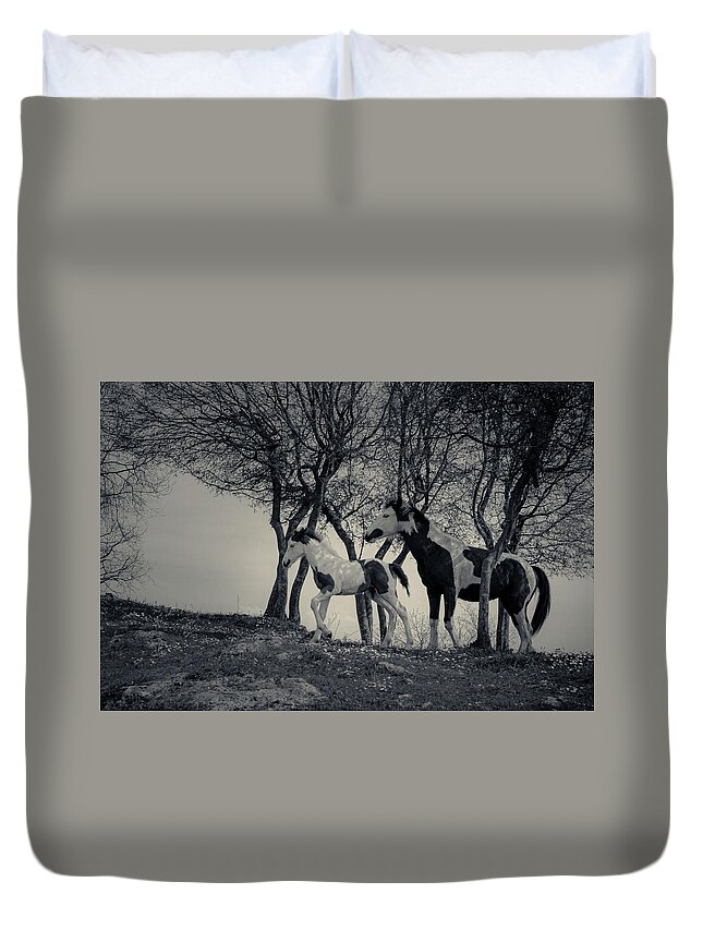 Adorable Duvet Cover featuring the photograph Piebald Foal by Umberto Barone
