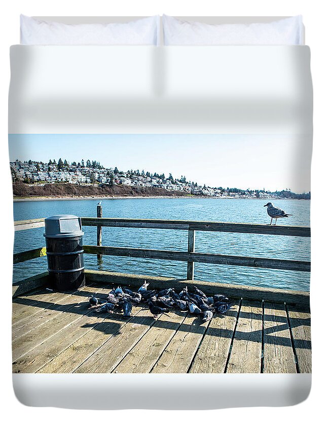 Pigeons And A Sea Gull Duvet Cover featuring the photograph Pigeons and a Sea Gull by Tom Cochran