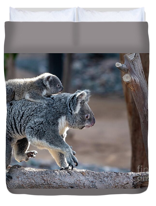 San Diego Zoo Duvet Cover featuring the photograph Piggy Back Rides by David Levin