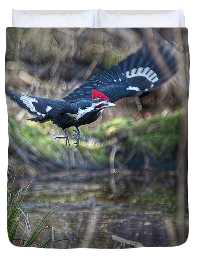 Bird Duvet Cover featuring the photograph Pileated Woodpecker Takes Off-Vertical by Flinn Hackett