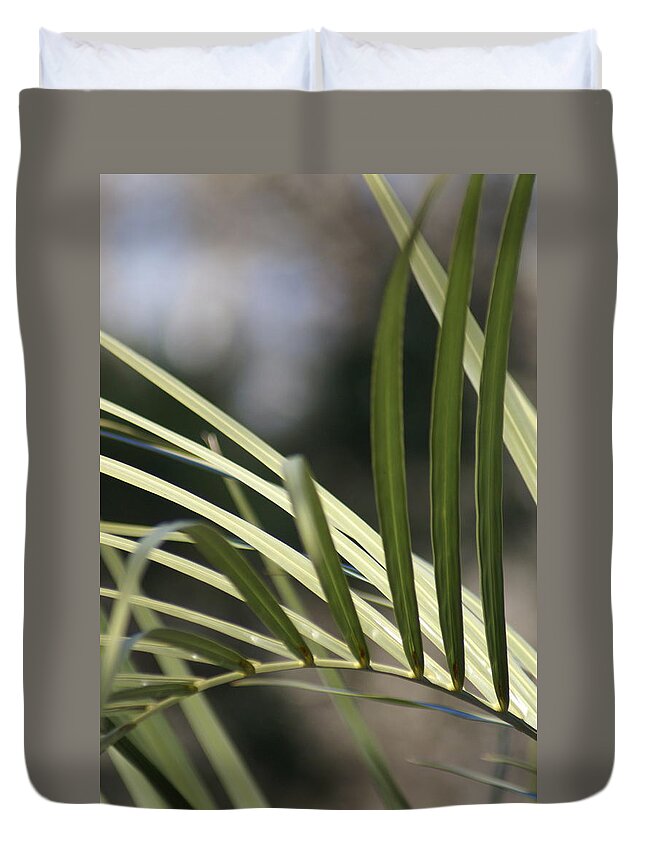  Duvet Cover featuring the photograph Pindo Palm Frond by Heather E Harman
