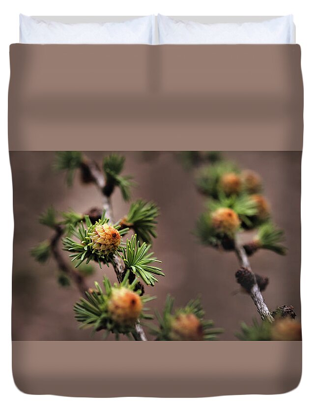 Tree Duvet Cover featuring the photograph Pine cones by M Fotograaf