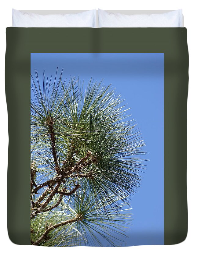  Duvet Cover featuring the photograph Pine Right by Heather E Harman