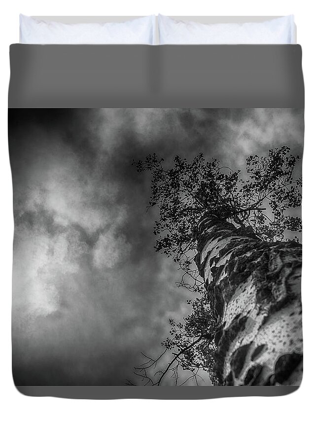 Pine Tree Duvet Cover featuring the photograph Pine Tree and Clouds by Alan Goldberg
