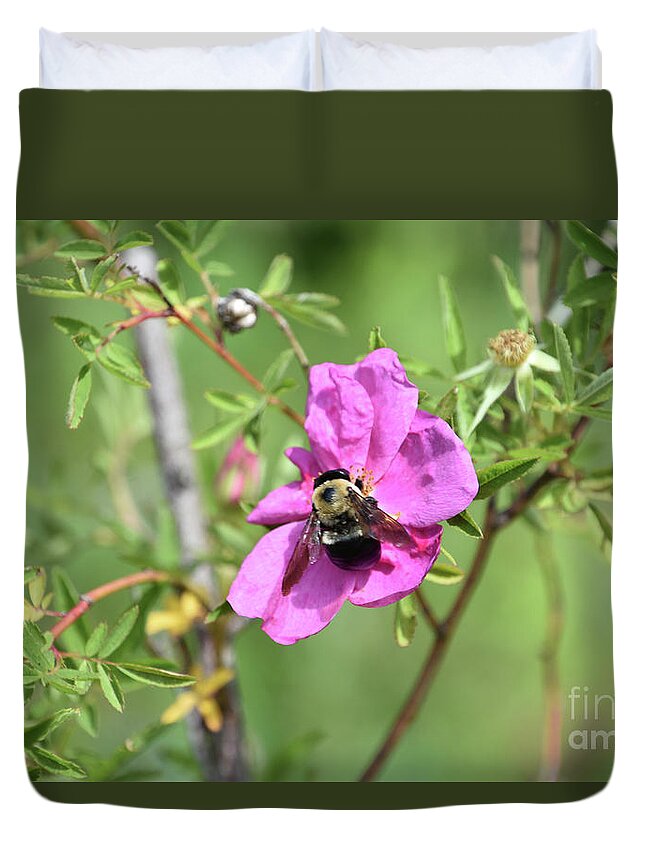 Bee Duvet Cover featuring the photograph Pink Beach Rose with a Bee Pollinating It by DejaVu Designs