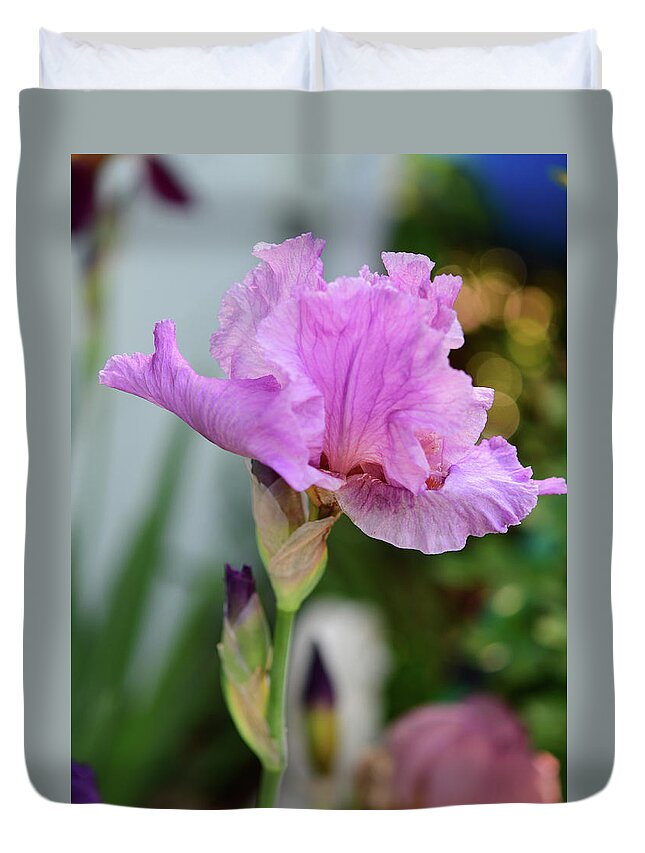 Pink Bearded Iris Duvet Cover featuring the photograph Pink Bearded Iris by Cynthia Westbrook