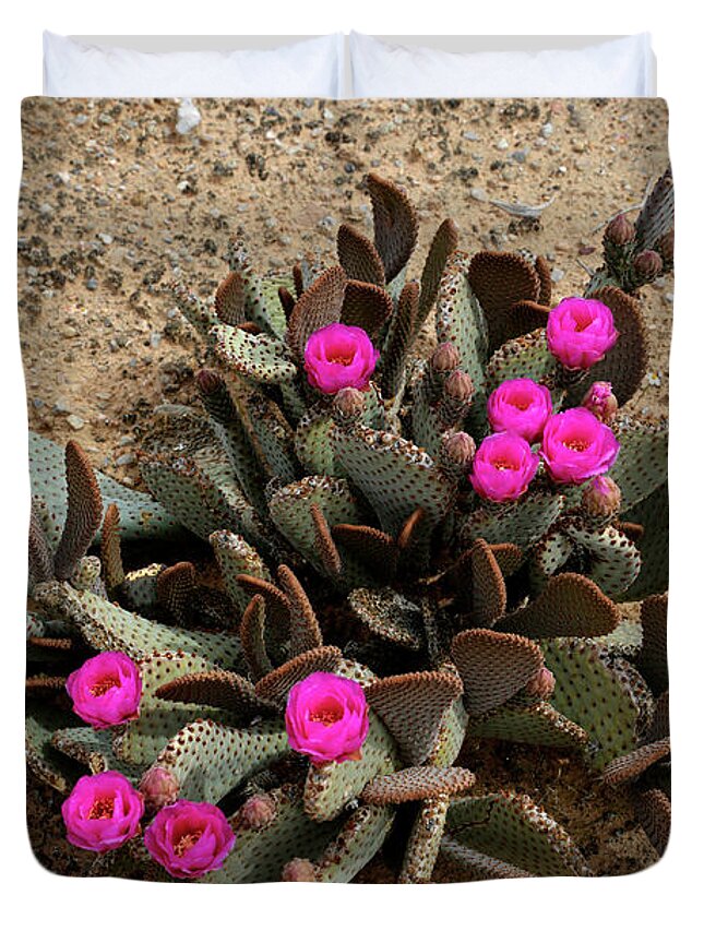 Denise Bruchman Photography Duvet Cover featuring the photograph Pink Beavertail Cactus Flowers by Denise Bruchman