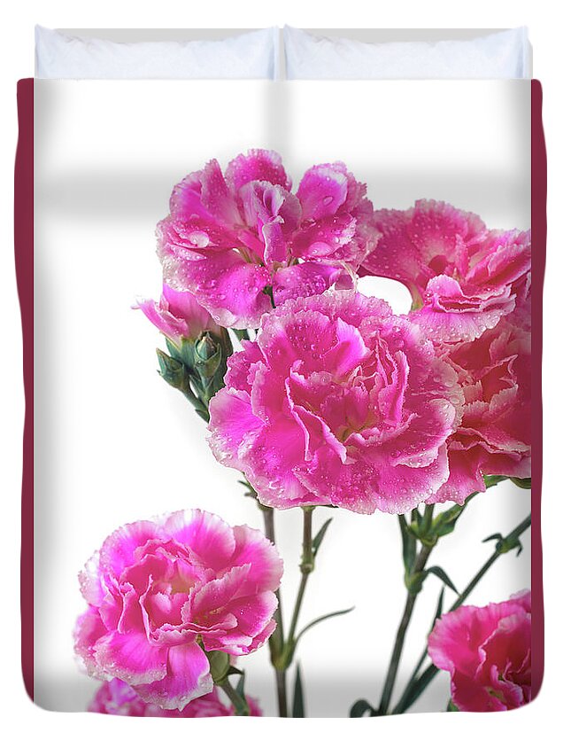 Pink Carnation Flower Duvet Cover featuring the photograph Pink Carnation Photo Art by Gwen Gibson