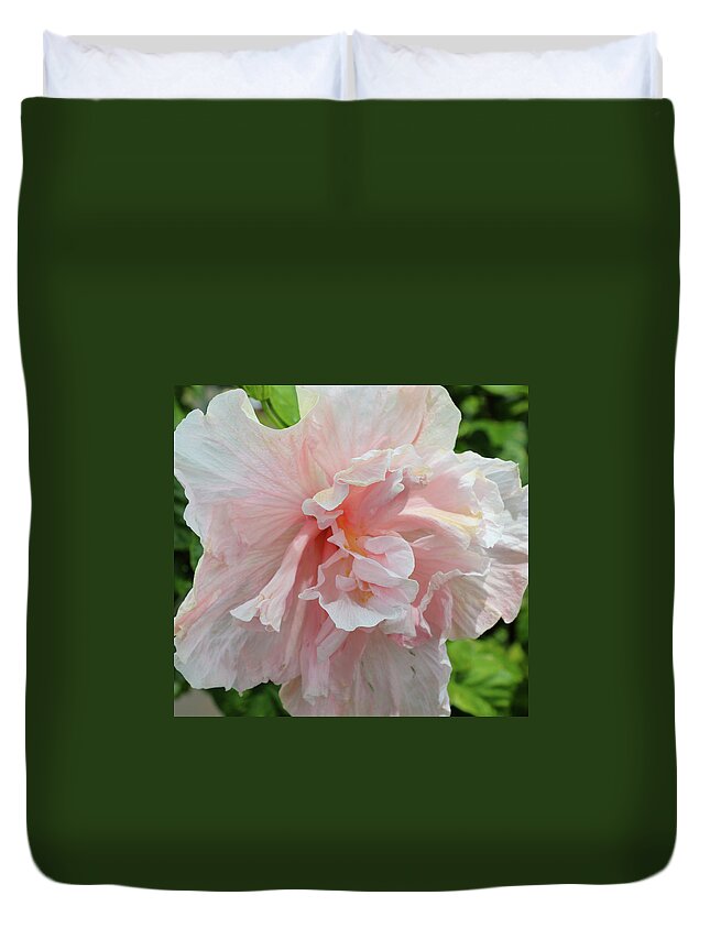 Hibiscus Duvet Cover featuring the photograph Pink Chiffon by Tony Spencer