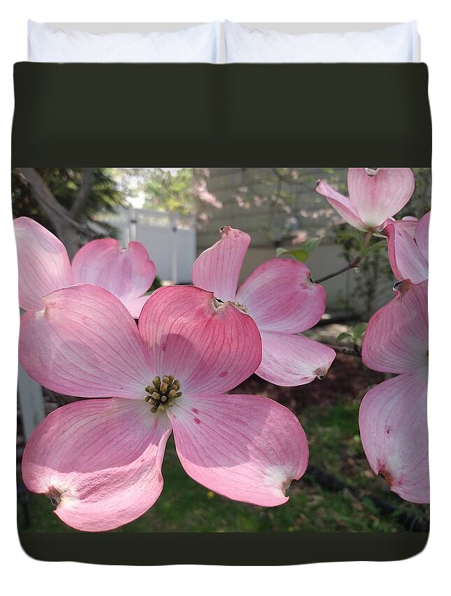 Pink Duvet Cover featuring the photograph Pink Dogwood Blossoms by Christopher Lotito
