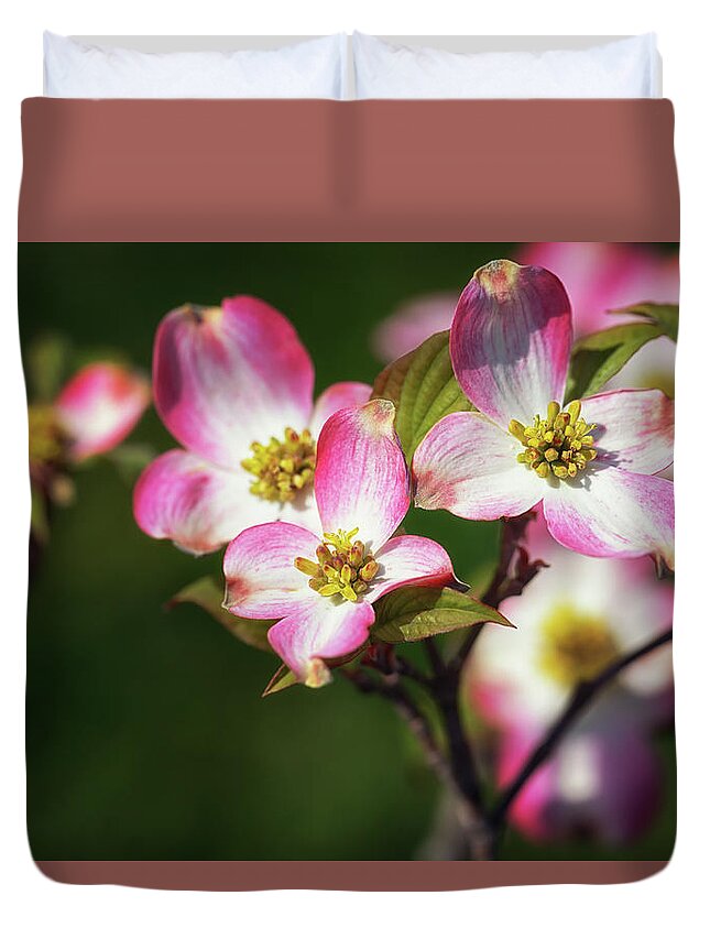Pink Dogwood Duvet Cover featuring the photograph Pink Dogwood Blossoms by Susan Rissi Tregoning