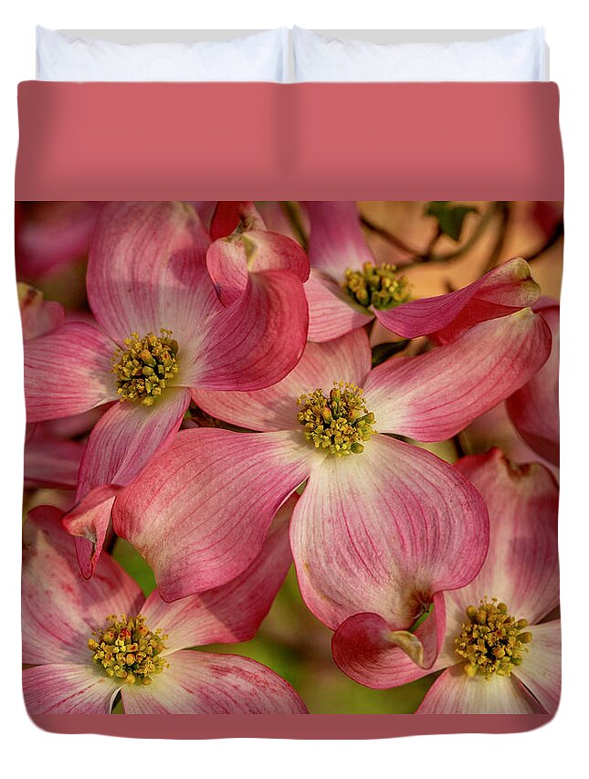 Dogwoods Duvet Cover featuring the photograph Pink Dogwoods by Lynn Hopwood