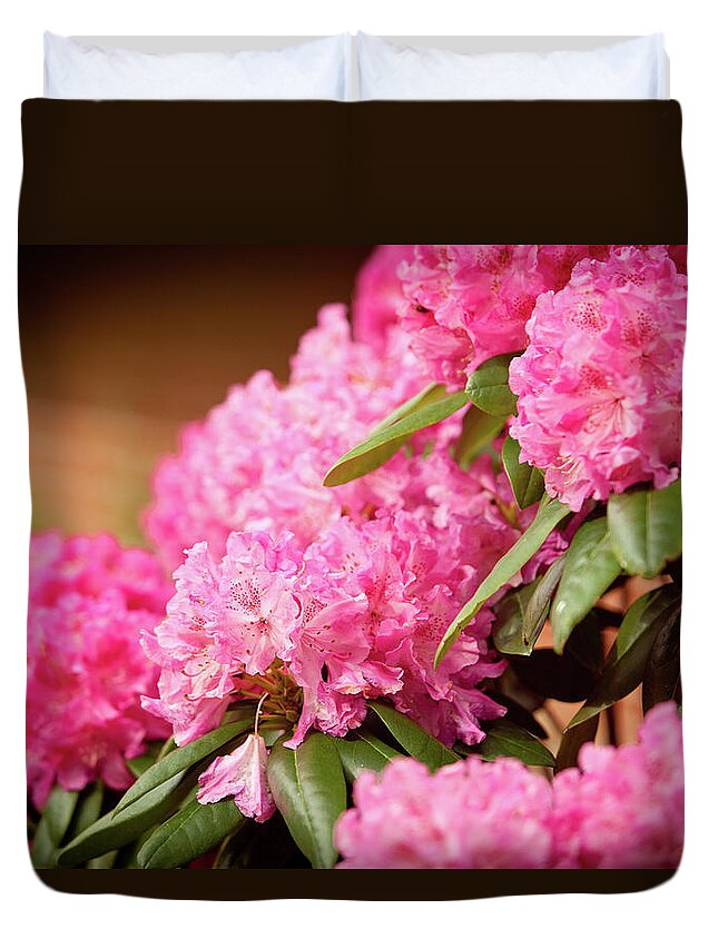 Flowers Duvet Cover featuring the photograph Pink Flower Clusters by Rich S