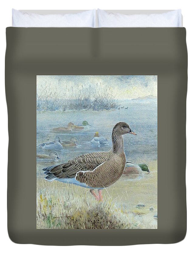 Pink-footed Goose Duvet Cover featuring the painting Pink-footed Goose by Barry Kent MacKay