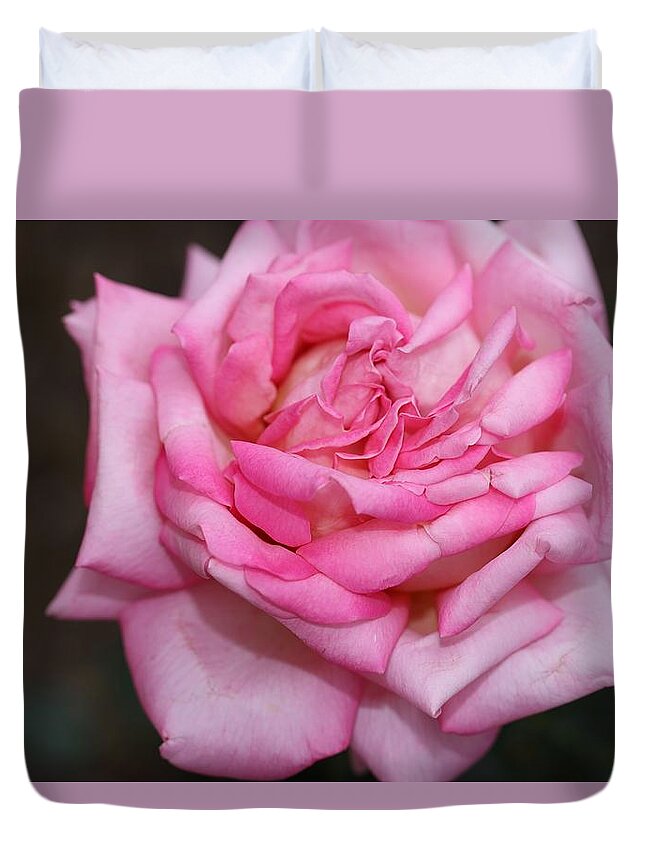 Rose Duvet Cover featuring the photograph Pink Layers by Mingming Jiang