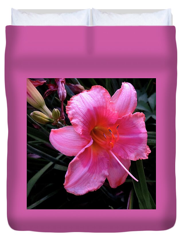 Flowers Duvet Cover featuring the photograph Pink Lilly by Linda Stern
