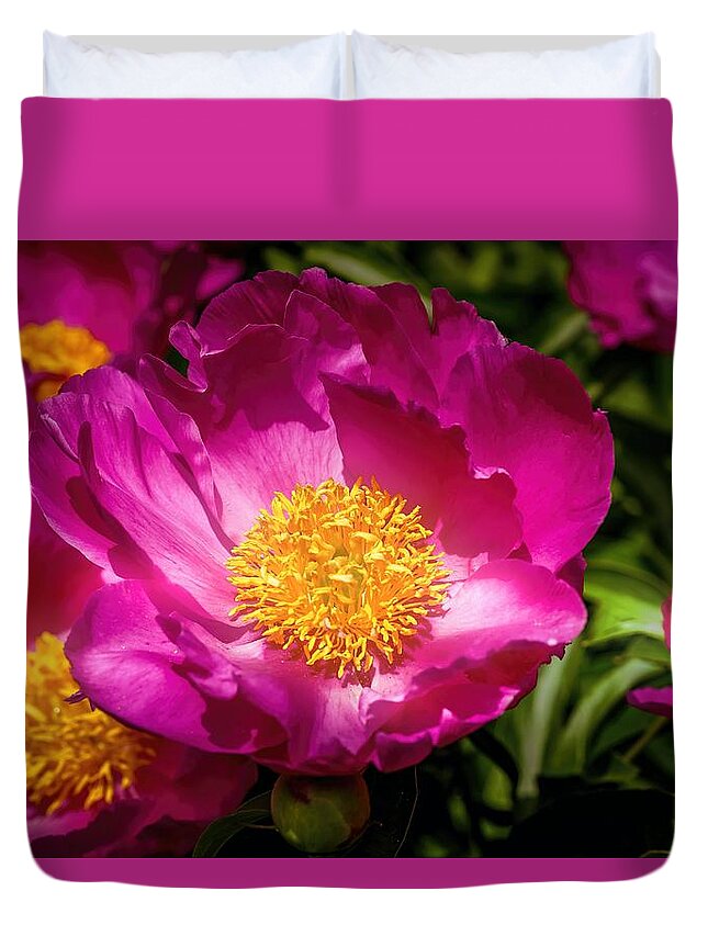 Peony Duvet Cover featuring the photograph Pink Peonies by Susan Rydberg