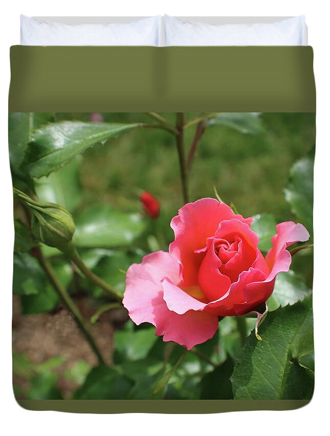 Pink Duvet Cover featuring the photograph Pink Rose Close Up by Kathy Pope