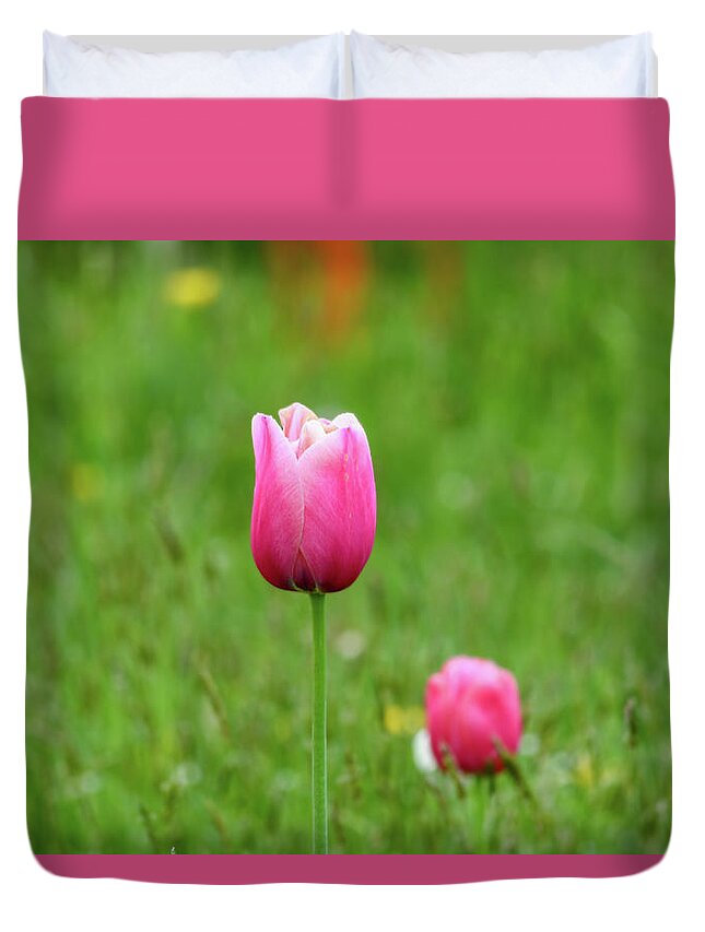 Tulip Duvet Cover featuring the photograph Pink Tulip by Andrew Lalchan