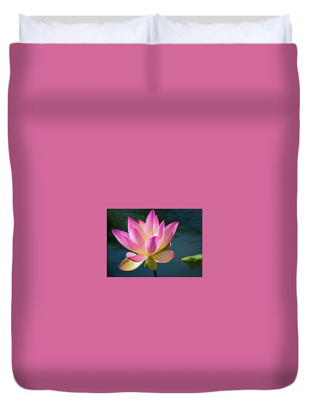 Flowers Duvet Cover featuring the photograph Pink Waterlily by Gerri Bigler