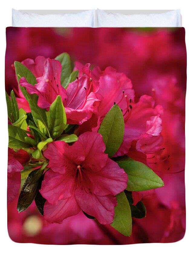 Azaleas Duvet Cover featuring the photograph Pink Wave by Reynaldo BRIGANTTY