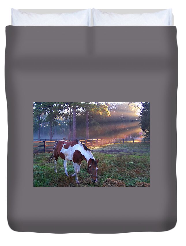 Horse Duvet Cover featuring the photograph Pinto in a Paddock at Daybreak by Jerry Griffin