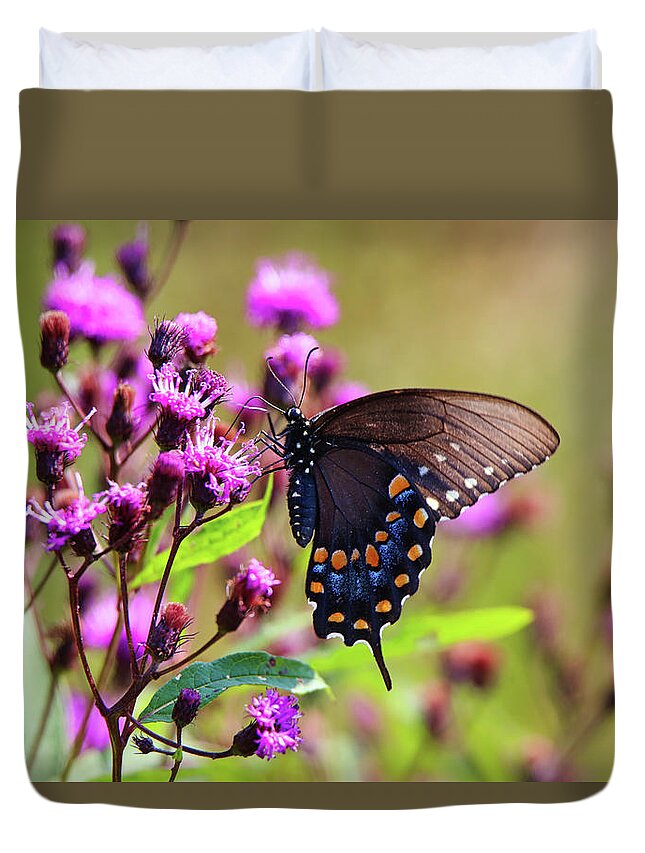 Pipevine Swallowtail Duvet Cover featuring the photograph Pipevine Swallowtail by Scott Burd